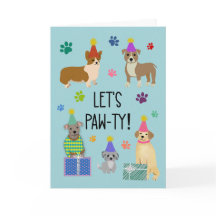 Birthday Let's Pawty Hundar