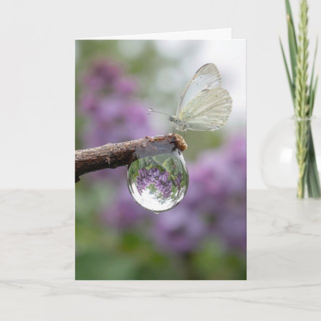 Birthday Lilacs Reflecting in a Raindrop  Kort (Framsida)