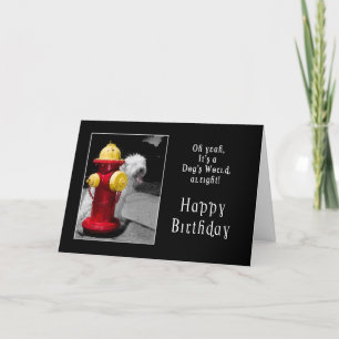 BIRTHDAY - ONE LUCKY HUND - HYDRANT/HUND KORT