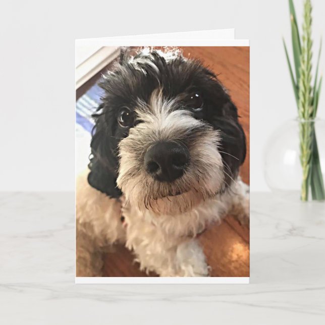 BIRTHDAY ÖNSKEMÅL FÖR EN *BÄSTA VÄNNER* PÅ ALLA SÄ KORT (Framsida)