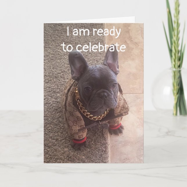 BIRTHDAY ÖNSKEMÅL FRÅN EN COOLA HUND KORT (Framsida)