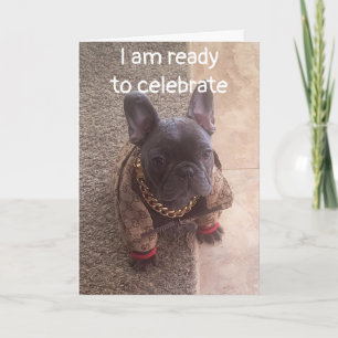 BIRTHDAY ÖNSKEMÅL FRÅN EN COOLA HUND KORT