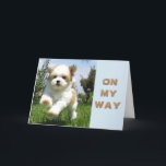 BIRTHDAY ÖNSKEMÅL FRÅN LYCKLIG PUPPY HELGKORT<br><div class="desc">DENNA LILLA VALP ÄR SÅ MYCKET I EN TIMME FÖR HAN ELLER HON VILL BARA SÄGA ***HAPPPPPY BIRTHDAY*** OCH VARA DEN FÖRSTA ATT GÖRA DET!~</div>