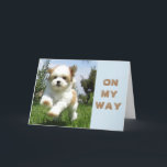 BIRTHDAY ÖNSKEMÅL FRÅN LYCKLIG PUPPY HELGKORT<br><div class="desc">DENNA LILLA VALP ÄR SÅ MYCKET I EN TIMME FÖR HAN ELLER HON VILL BARA SÄGA ***HAPPPPPY BIRTHDAY*** OCH VARA DEN FÖRSTA ATT GÖRA DET!~</div>