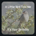 Birthday Önskemål Funny Kuvert Seal Little Bird Fyrkantigt Klistermärke<br><div class="desc">Försegla ett födelsedagskort med ett klistermärke som innehåller en mosaikfågel sitta i träd. "En liten fågel sa åt mig att det är din födelsedag" är känslan på detta kvadratiska klistermärke och kan enkelt anpassas om du vill. Original Photo - C. McGouldrick</div>