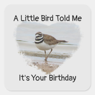 Birthday Önskemål Little Bird Humous Kuvert Seal Fyrkantigt Klistermärke