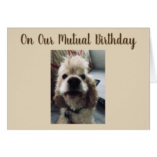 BIRTHDAY ÖNSKEMÅL TILL ER PÅ VÅR ÖMSESIDIGA BIRTHD HÄLSNINGSKORT