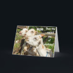 BIRTHDAY ÖNSKEMÅL TILL MIN MAMMA PÅ DAGEN! KORT<br><div class="desc">LÅT HENNE VETA HUR SPECIELL HON ÄR OCH HUR SPECIELL HENNES BIRTHDAY ÄR!!!!!!! HÄR ÄR ETT KORT SOM HON KOMMER ATT BEHÅLLA FÖR!!!!!!!! TACK så mycket för att du stannade i en av mina åtta butiker. Njut medan han är ung:)</div>