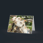 BIRTHDAY ÖNSKEMÅL TILL MIN MAMMA PÅ DAGEN! KORT<br><div class="desc">LÅT HENNE VETA HUR SPECIELL HON ÄR OCH HUR SPECIELL HENNES BIRTHDAY ÄR!!!!!!! HÄR ÄR ETT KORT SOM HON KOMMER ATT BEHÅLLA FÖR!!!!!!!! TACK så mycket för att du stannade i en av mina åtta butiker. Njut medan han är ung:)</div>