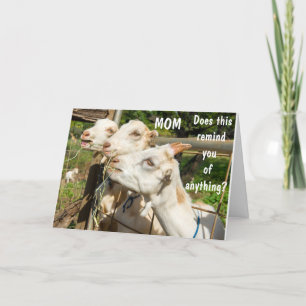 BIRTHDAY ÖNSKEMÅL TILL MIN MAMMA PÅ DAGEN! KORT