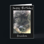 BIRTHDAY ÖNSKEMÅL TO **GRANDSON** KORT<br><div class="desc">HA ROLIGT ATT SKICKA ELLER GE DET HÄR KORTET FÖR ATT KÄRLEK SKA FÅ DET FRÅN "DIG" FÖR SÄKERHET. I KÄRLEK DEN HÄR RADEN AV KORT OCH I TACK FÖR ATT STOPPA MED 1 AV MINA 8 LAGRINGAR.</div>