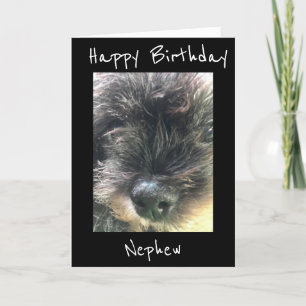 BIRTHDAY ÖNSKEMÅL TO **NEPHEW** CARD KORT