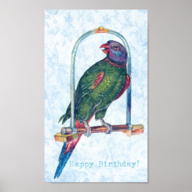 Birthday Parrot Poster (Framsidan)