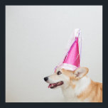 Birthday Pembroke Welsh Corgi Hund Poster<br><div class="desc">Corgi hund födelseatthat</div>