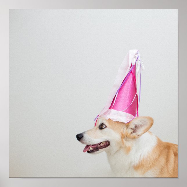 Birthday Pembroke Welsh Corgi Hund Poster (Framsidan)