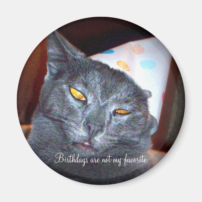 Birthday Pooper Magnet (Framsidan)