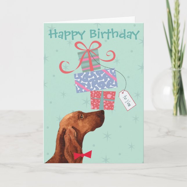 Birthday Presenter Irish Setter Kort (Framsida)