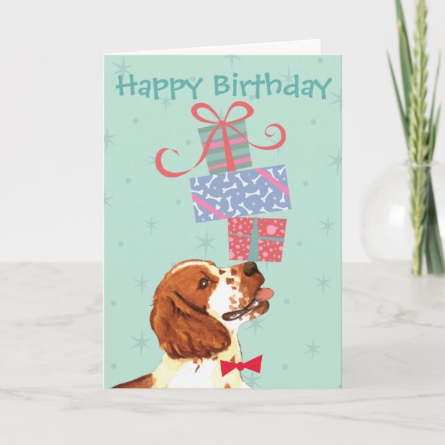 Birthday Presenter Welsh Springer Spain Kort (Framsida)