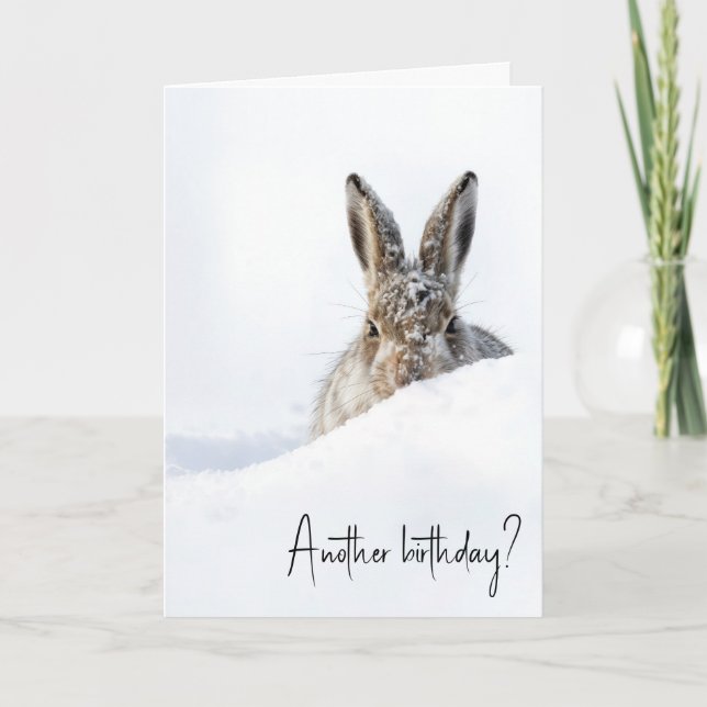 Birthday Rabbit Peeking Over a Snowdrift Kort (Framsida)