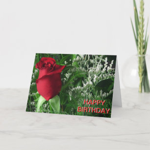 Birthday Röd ros Bud Kort