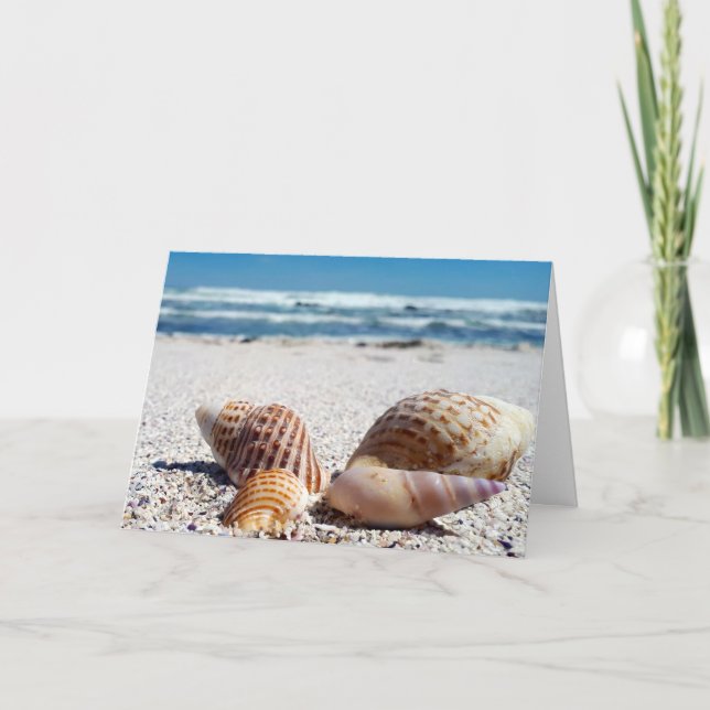 BIRTHDAY SEASHELLS BEACH TROPICAL GREETDS CARDS KORT (Framsida)
