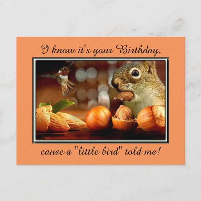 Birthday Squirrel Vykort (Framsida)