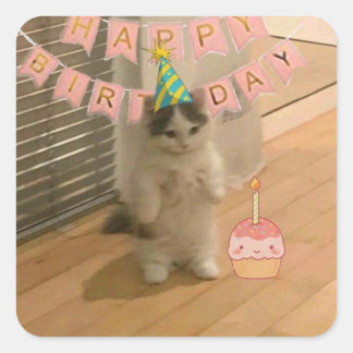 Birthday stickers fyrkantigt klistermärke