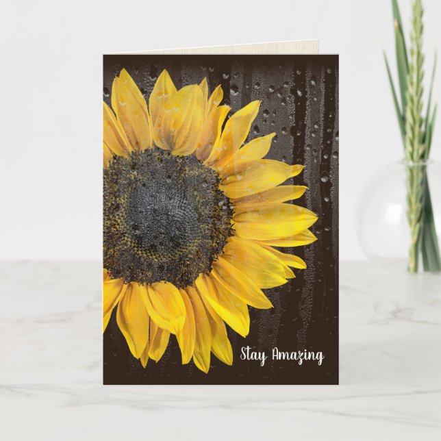 Birthday Sunflower with Raindrops Card Kort (Framsida)