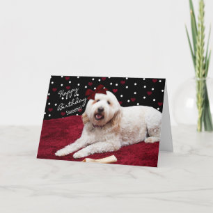 BIRTHDAY - SVEETIE - GOLDEN DOODLE KORT