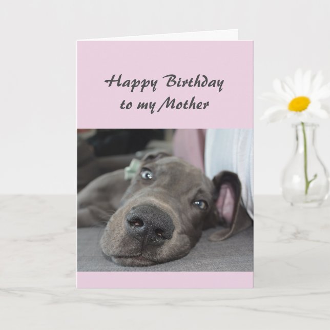 Birthday to my Mother Fun Dog Relax Humor Kort (Liten växt)