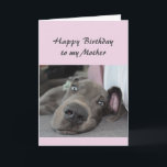Birthday to my Mother Fun Dog Relax Humor Kort<br><div class="desc">Happy Birthday to my Mother definition of Relax Humor Greeting with cute relaxing Great Dane Dog</div>