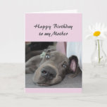 Birthday to my Mother Fun Dog Relax Humor Kort<br><div class="desc">Happy Birthday to my Mother definition of Relax Humor Greeting with cute relaxing Great Dane Dog</div>