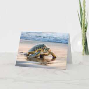 Birthday Turtle Walking på en beach Kort
