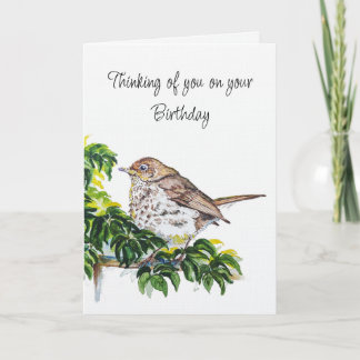 Birthday Watercolor Swainson's Thrush Bird Kort