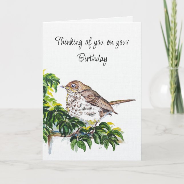 Birthday Watercolor Swainson's Thrush Bird Kort (Framsida)