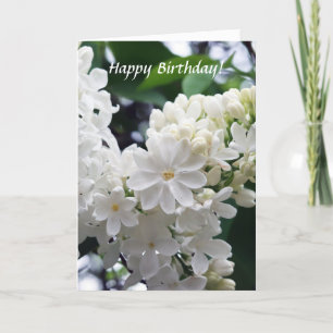 Birthday White Lilac Kort