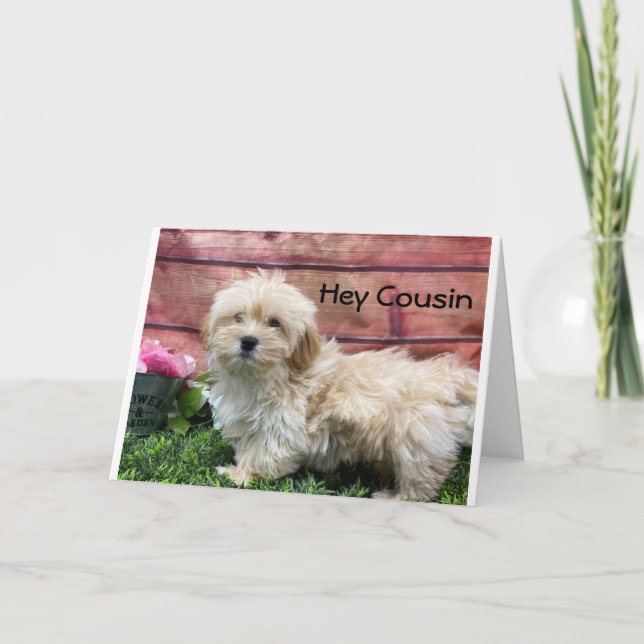 BIRTHDAY WISH "COUSIN" & "BEST FRIEND CARD" KORT (Framsida)