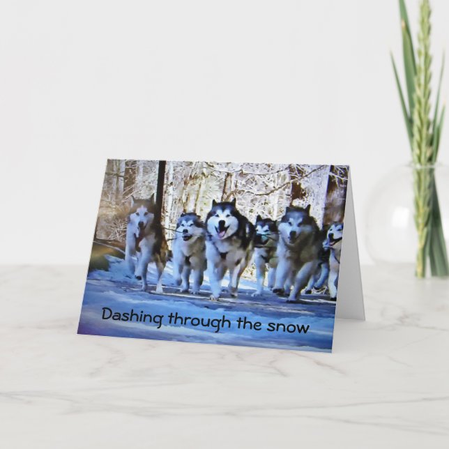 **BIRTHDAY WISHES** FROM SLED DOGS HELGKORT (Framsida)