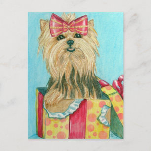 Birthday Yorkie Vykort
