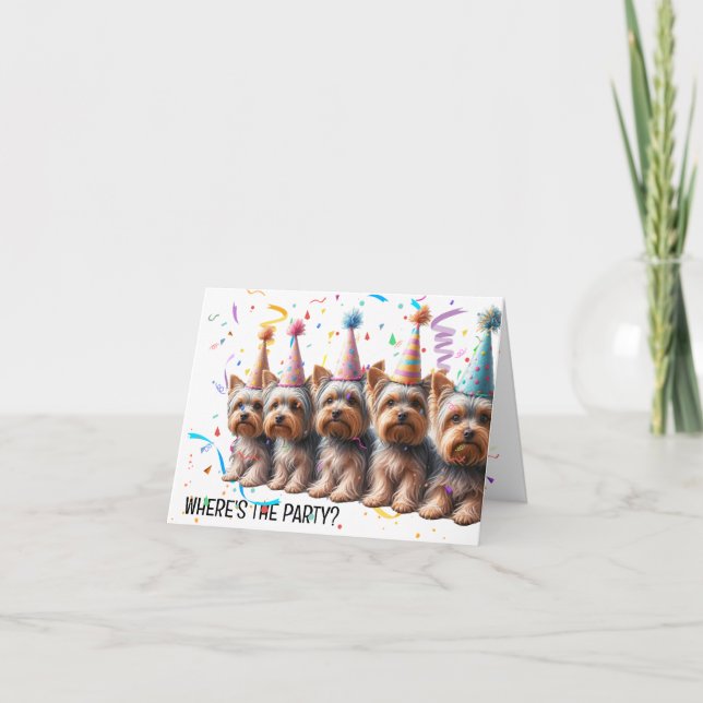 Birthday Yorkshire Terriers in Party Hats Kort (Framsida)