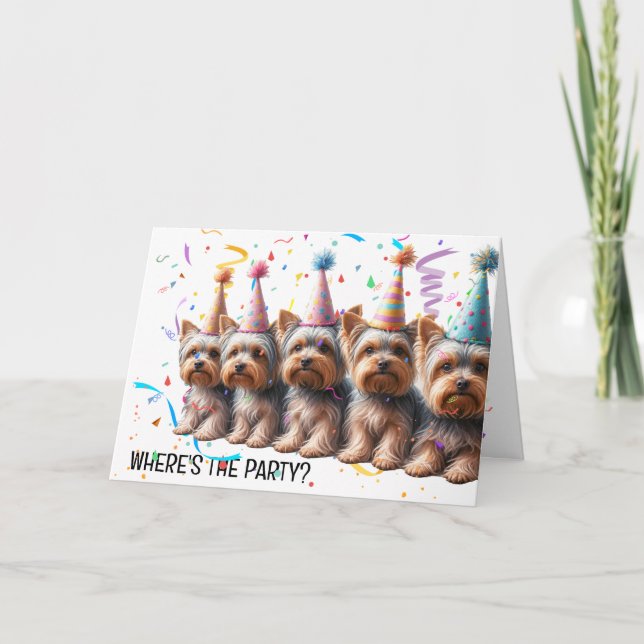 Birthday Yorkshire Terriers in Party Hats Kort (Framsida)