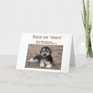 BIRTHDAYS-WANNA lite ROLIGT? Kort