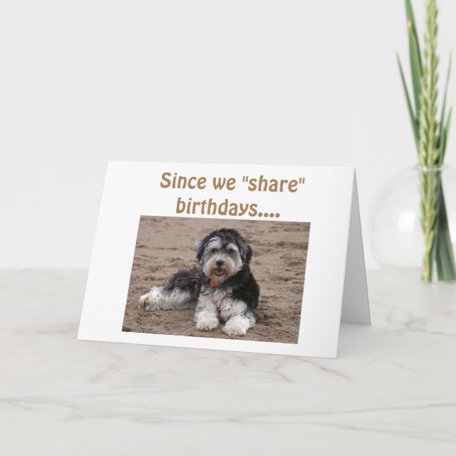  BIRTHDAYS-WANNA  lite ROLIGT? Kort (Framsida)