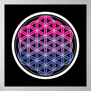 biSacred geometri Poster