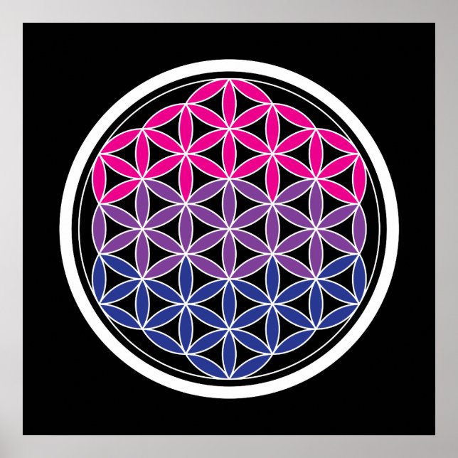 biSacred geometri Poster (Framsidan)