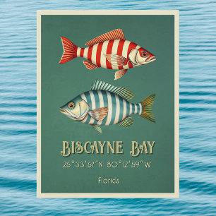 Biscayne Bay Florida fisk vykort