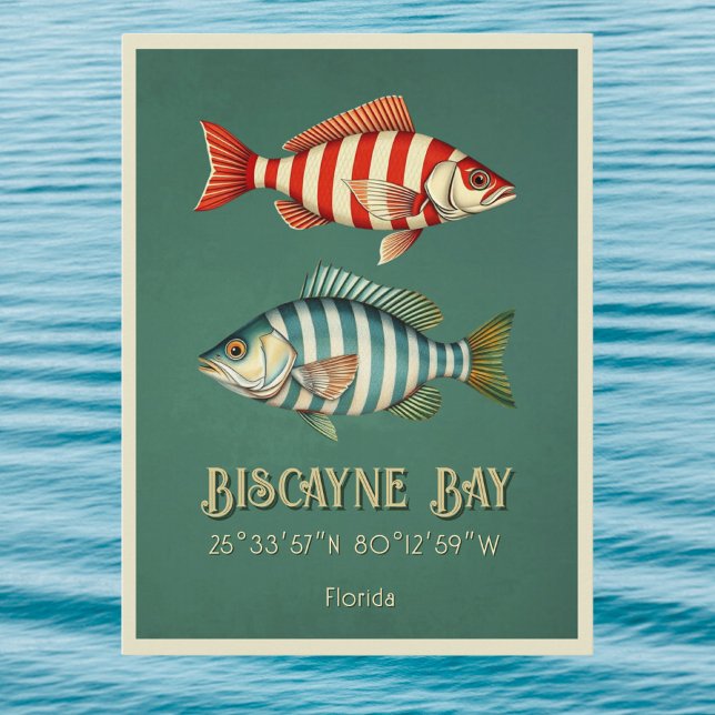 Biscayne Bay Florida fisk vykort (Skapare uppladdad)