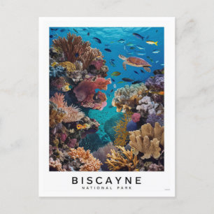Biscayne nationalpark Coral Vykort