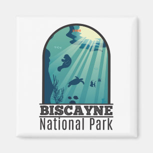 Biscayne nationalpark Florida Underwater Maritime Magnet