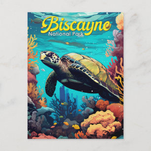Biscayne nationalpark Turtle Illustration Retro Vykort